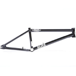 Alive Grad Type 1 Frame (Welded Brake Mounts)