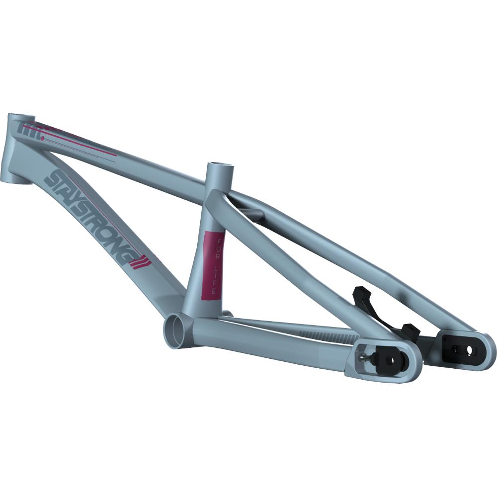 Stay Strong For Life V4 Mini Race Frame