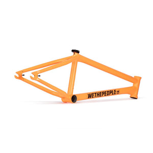Wethepeople Doomsayer Cuadro