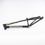 Stay Strong For Life 2023 V4 Expert Race Frame - Disc Version