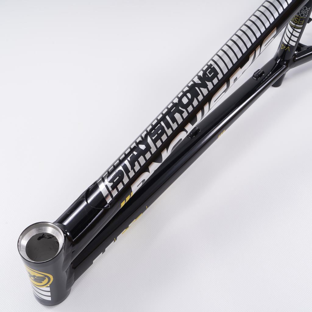 Stay Strong For Life 2023 V4 Cruiser Expert XL Race Frame