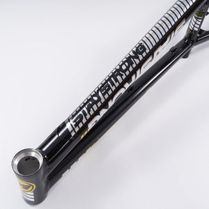 Stay Strong For Life 2023 V4 Cruiser Expert XL Race Frame