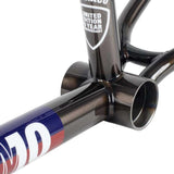 Subrosa Cadre simo de 10 ans