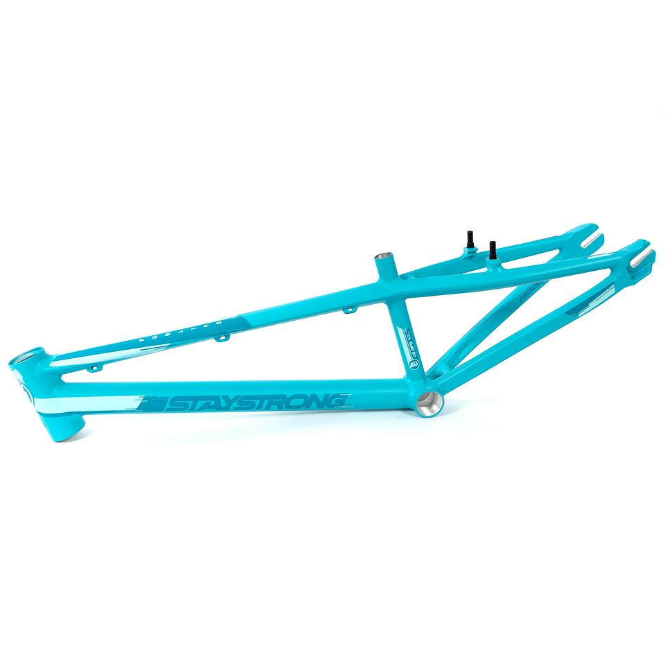 Stay Strong For Life V3 Race Frame - Mini