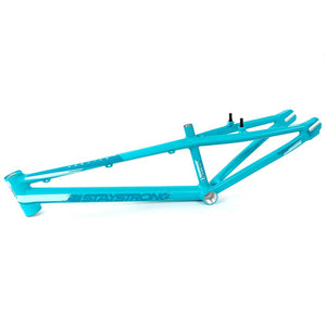 Stay Strong For Life V3 Race Frame - Mini