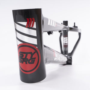 Stay Strong For Life 2023 V4 Cruiser Expert XL Race Frame