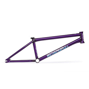 Wethepeople Doomsayer Cuadro