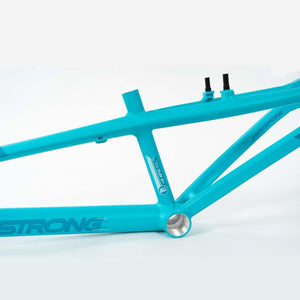 Stay Strong For Life V3 Race Frame - Mini
