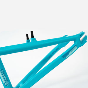 Stay Strong For Life V3 Race Frame - Mini