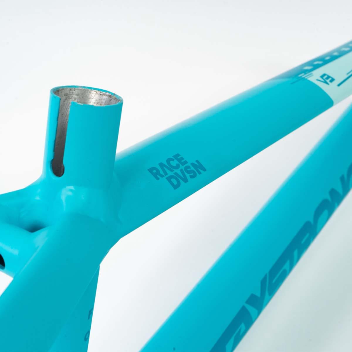 Stay Strong For Life V3 Race Frame - Mini