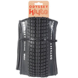 Odyssey Au rivage