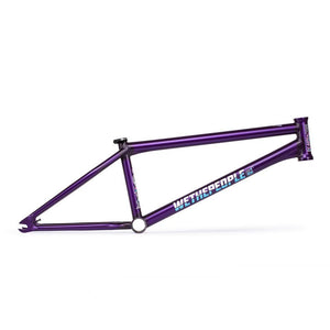 Wethepeople Doomsayer Cuadro