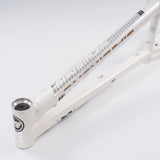 Stay Strong For Life 2023 V4 Expert Race Frame - Disc Version