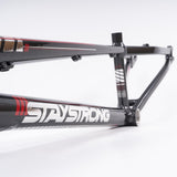 Stay Strong For Life 2023 V4 Expert Race Frame - Disc Version