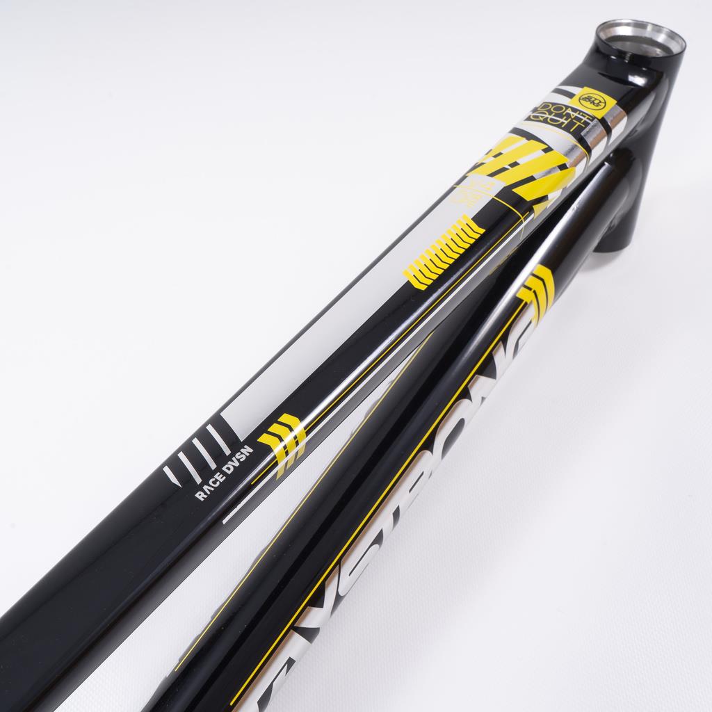 Stay Strong For Life 2023 V4 Cruiser Expert XL Race Frame