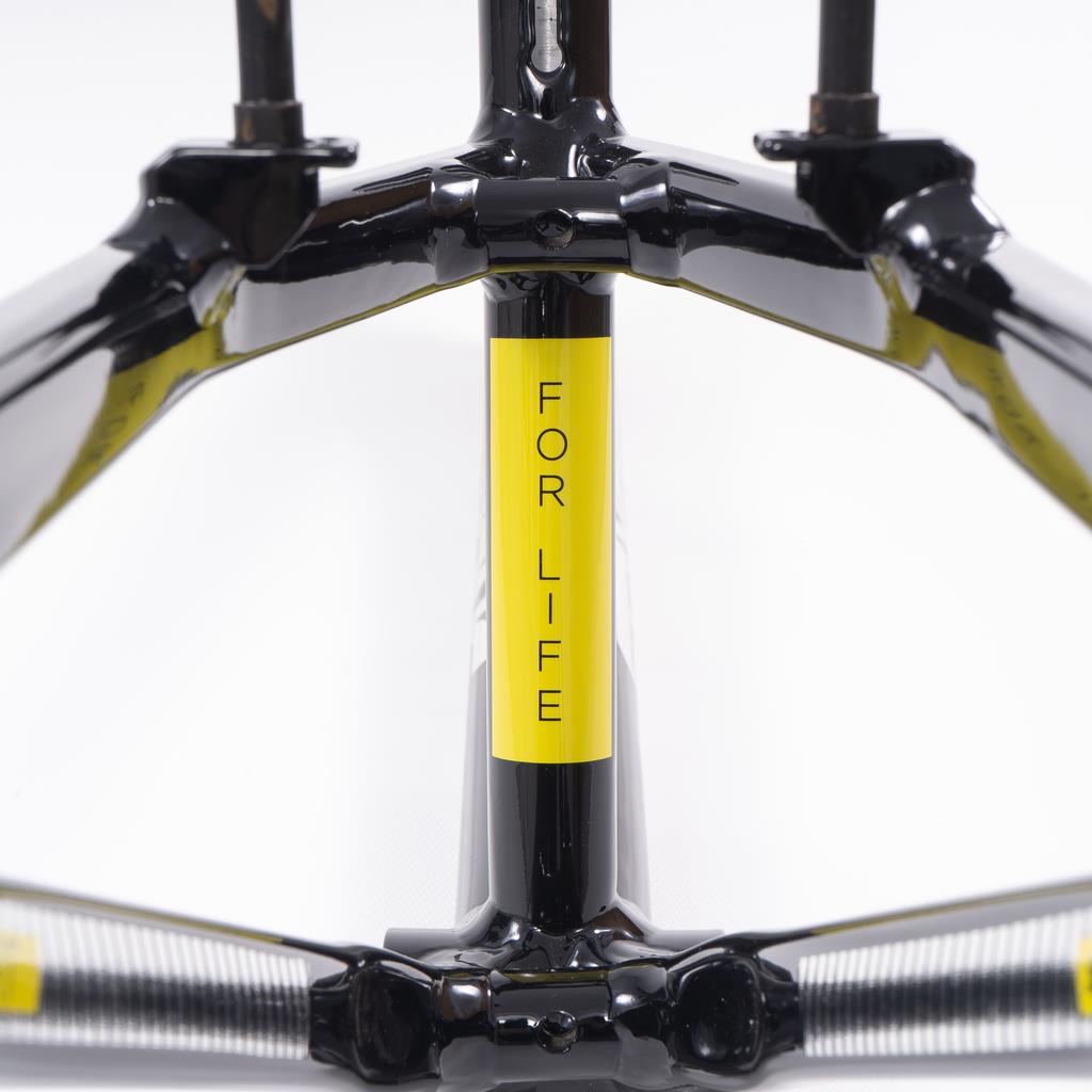 Stay Strong For Life 2023 V4 Cruiser Expert XL Race Frame