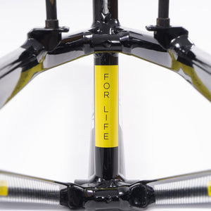 Stay Strong For Life 2023 V4 Cruiser Expert XL Race Frame