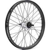 Profile Z Coaster männlicher Freecoaster / Cinema 888 Custom Wheel - LHD