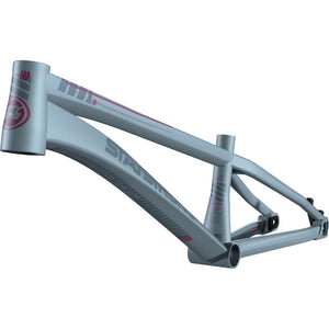 Stay Strong For Life V4 Mini Race Frame