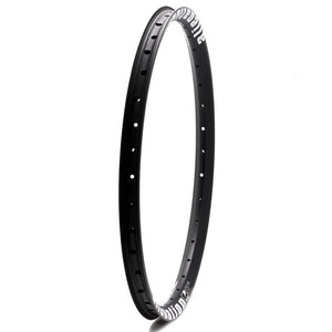 Alienation TCS Mischief G69 20" rim