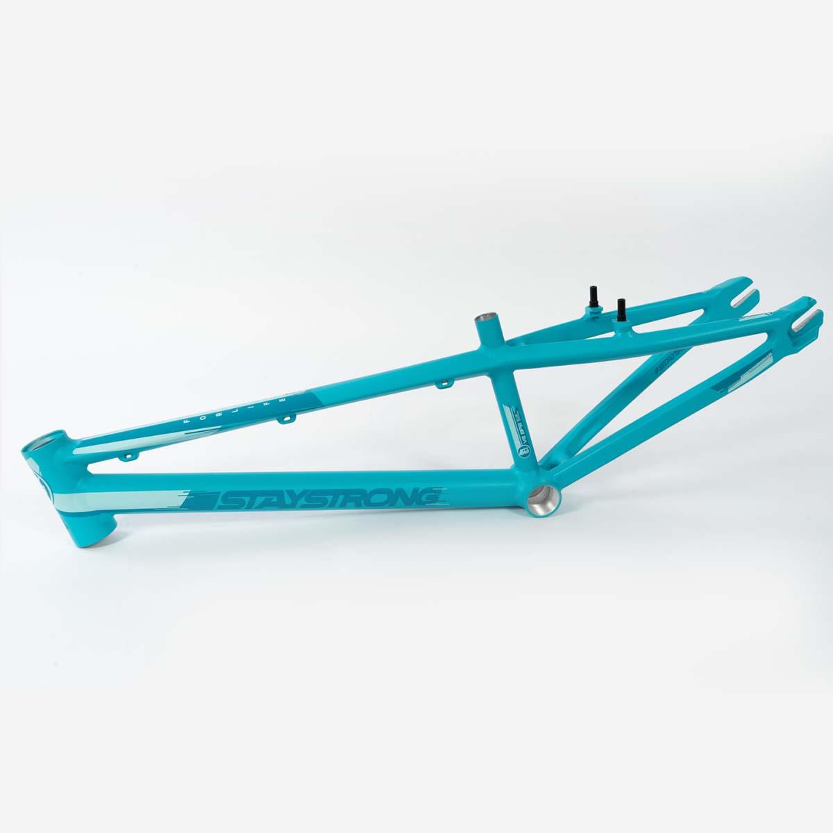 Stay Strong For Life V3 Race Frame - Mini