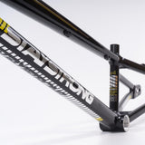 Stay Strong For Life 2023 V4 Expert Race Frame - Disc Version
