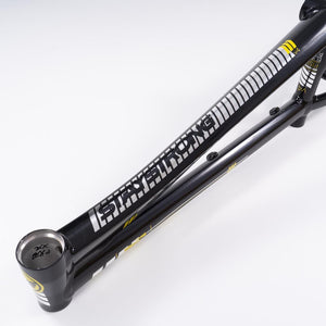 Stay Strong For Life 2023 V4 Pro Race Frame