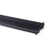 WeThePeople 14G Speichen - 22"