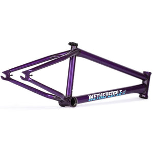 Wethepeople Doomsayer Cuadro