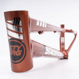 Stay Strong For Life 2023 V4 Expert Race Frame - Disc Version